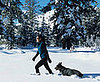 Motivational Exercise Quotes 2008-01-11 16:30:00