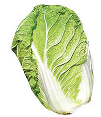 Detox Salad With Cabbage and Apples Detox Salad With Cabbage and Apples