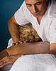 Massage: Don't Get Rubbed the Wrong Way