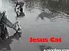 Jesus Cat Walks on Water