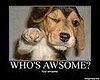 Cute Alert: Motivational Pup