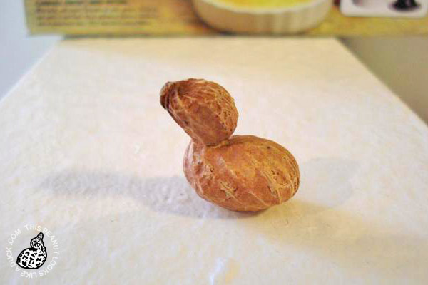Stuff That Looks Like a Duck Stuff That Looks Like a Duck