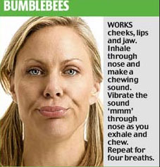 bumble bumble