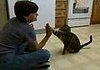 Cat Does Dog Tricks
