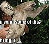 Sloth Gets Aggro