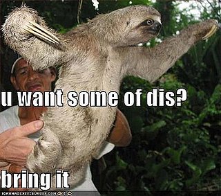 Sloth Gets Aggro