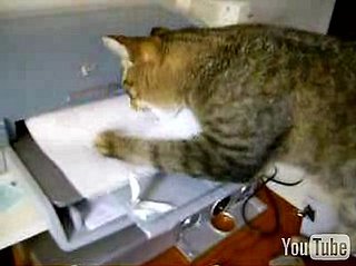Happy Caturday!