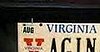 "Vagina" License Plate