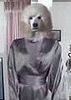 "Number 1" by Goldfrapp