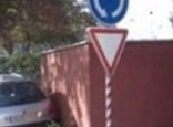 Car Parked in Bushes