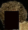GiggleSugar Guess Who?