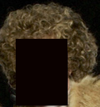 GiggleSugar Guess Who? GiggleSugar Guess Who?