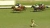 Racetrack Streaker