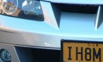 "I Hate My Ex" License Plate