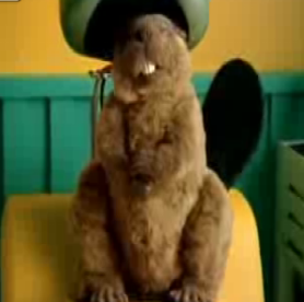 Australian Kotex Beaver Commercial