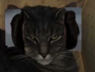 The Cat of 1000 Faces, Episode III (Star Wars Special)