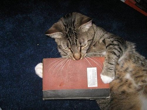 Audiobooks, yay or nay?