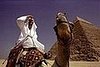 Sundance Review: Where in the World Is Osama Bin Laden?
