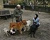 Cashmere Mafia Recap: Episode 7, "Dog Eat Dog"