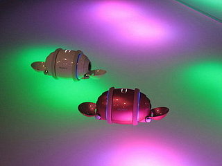 Are You a Fan of Sony's Rolly? 