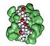 Use Folding@home to Help Scientists Find Cures for Diseases