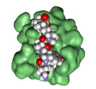 Use Folding@home to Help Scientists Find Cures for Diseases