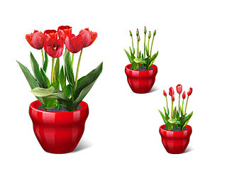 Geek Tip: Give the Gift of Virtual Flowers on Valentine's Day