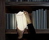 Literary Gadgetry Slideshow