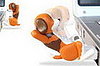 Exercising Dog USB