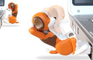 Exercising Dog USB