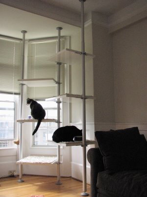 Ikea Closet Makes Great Cat Trees