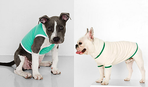 American Apparel Tees for Dogs