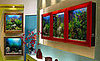 AquaVista 500 Fish Tank Frames Your Fish