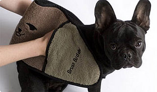 Brush Buddy: After Bath Towel Massages, Minus the Bath