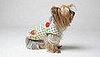 Greendog Design for Sustainable Pup Fashions