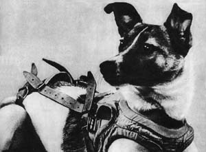 Laika the Space Dog