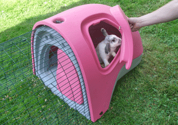 Eglu Rabbit Hut For Outdoor Bunny Fun