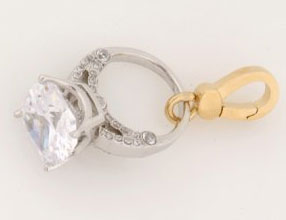 Engagement Charms for Your Pet