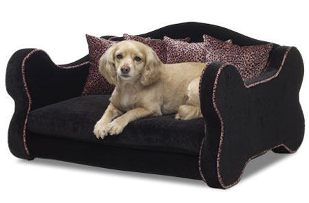 Rock and Roll Pet Bed Spoils Your Rocker Pet