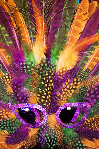 Get Flashy With Your Mardi Gras Decor