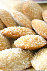 Yummy Link: Apple Cinnamon Madeleines