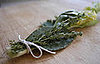 Bouquet Garni
