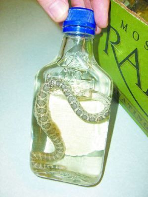 Would You Drink This Rattlesnake-Infused Vodka?