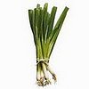 What Do You Call the Vegetable Pictured Below?