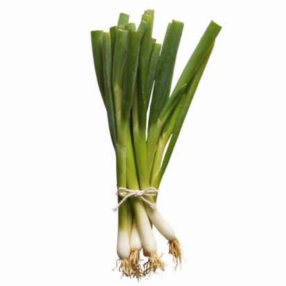 What Do You Call the Vegetable Pictured Below?