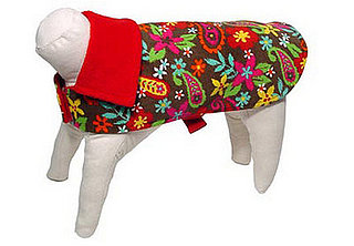 Trend Setters: Paisley Pets