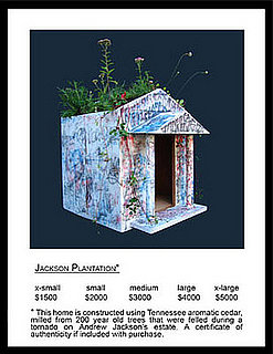 This (New) Home: Sustainable Pet Design