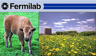 Out and About: Illinois' Fermilab