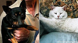 The Scoop: Pup's Love Will Go On