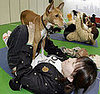 Workin' It Out at the New Year Dog Party Dog Yoga Event